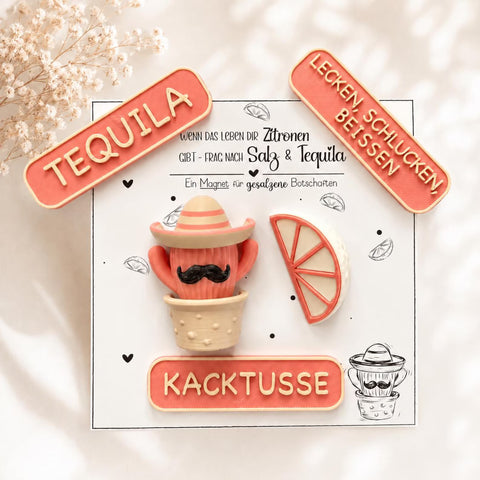 Mr. Nacho Magnet Set – Lustiger Kaktus Magnet mit Sombrero | Farben frei wählbar | Geschenk für Tequila Fans | Kühlschrank Deko